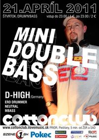Mini Double Bass