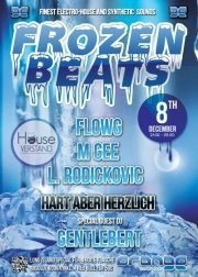 Frozen Beats - Finest Electrohouse Synthetic Sounds